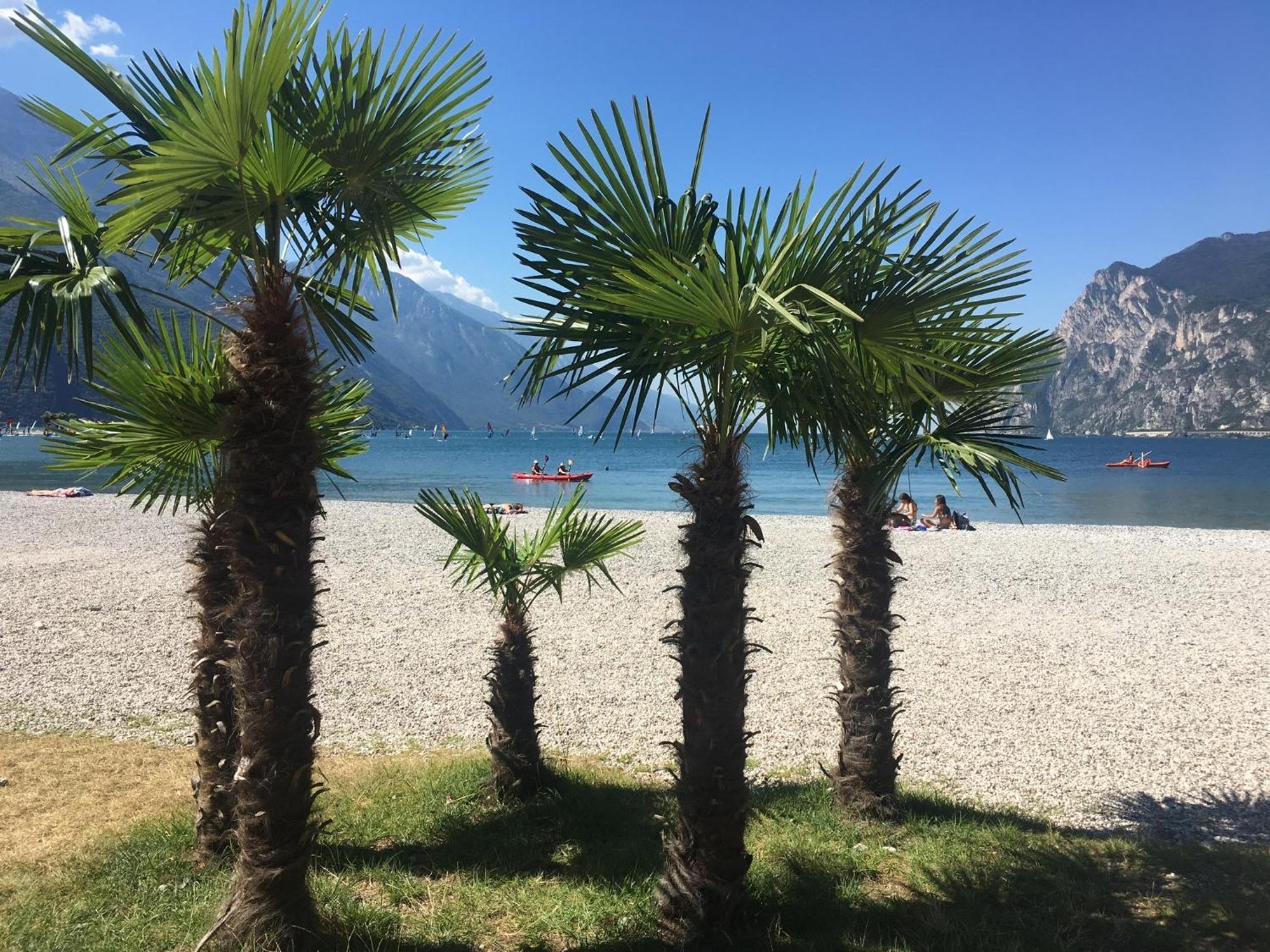 Outdooredo Garda Torbole Torbole Sul Garda Eksteriør bilde
